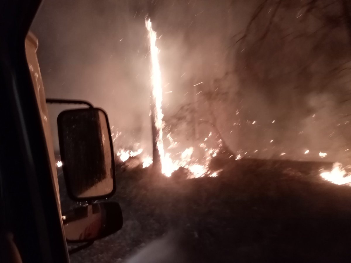 Manyana_Matters's tweet photo. Why is it important to save 20 ha in #Manyana?
Colin Beszant:
The site being protected by #Manyana RFS crew around 1.30am 1/1/20.

'I didn't put in all the hours and all the effort over many days and nights to see this bulldozed and chainsawed.'(video👎)

https://t.co/0UuLx01yag https://t.co/yUtN0GQ8Ry