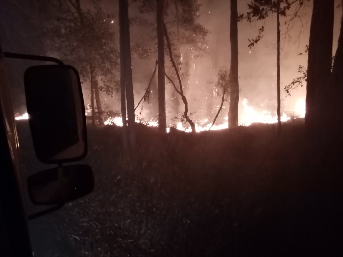 Manyana_Matters's tweet photo. Why is it important to save 20 ha in #Manyana?
Colin Beszant:
The site being protected by #Manyana RFS crew around 1.30am 1/1/20.

'I didn't put in all the hours and all the effort over many days and nights to see this bulldozed and chainsawed.'(video👎)

https://t.co/0UuLx01yag https://t.co/yUtN0GQ8Ry