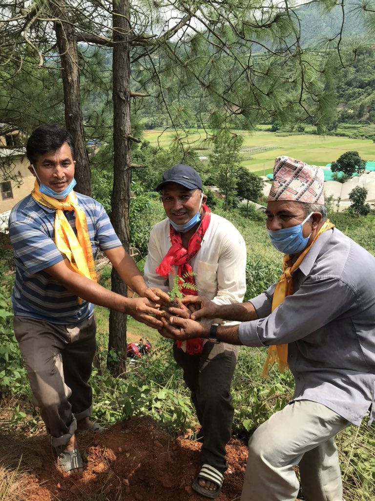 “वन संरक्षणमा बिधुतिय चुलो को योगदान”