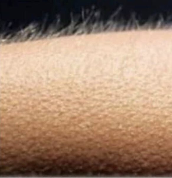 Se vc nunca arrepiou os pelinhos do braço nesse tipo de TV, vc não teve infância