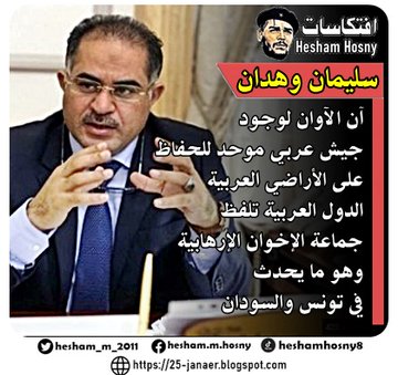 النائب سليمان وهدان  آن الآوان لوجود  جيش عربي موحد للحفاظ  على الأراضي العربية  الدول العربية تلفظ  جماعة الإخوان الإرهابية  وهو ما يحدث  في تونس والسودان