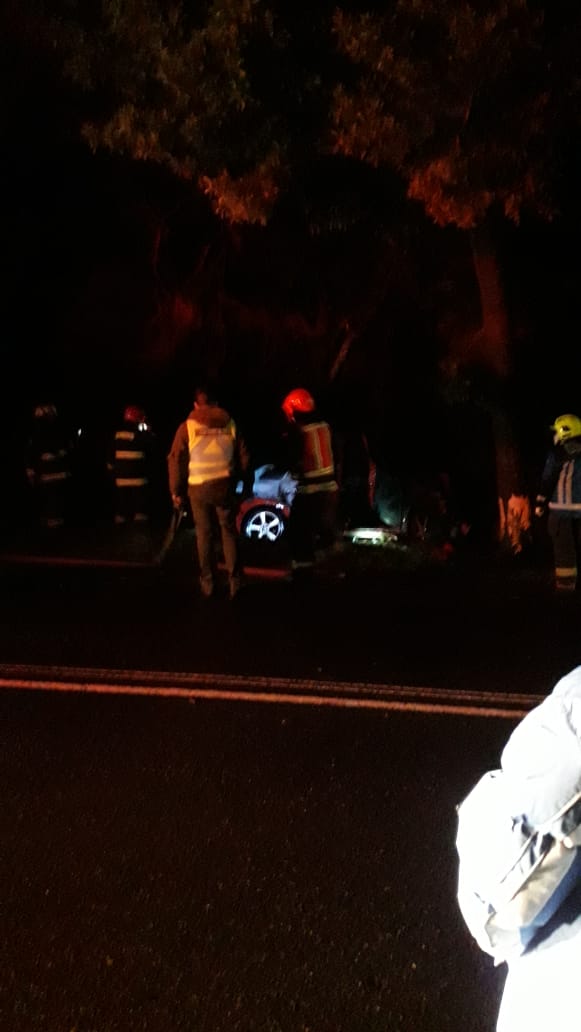 RadioSago's tweet photo. 🔴 #AHORA | A esta hora se reporta un accidente de la tránsito en el cruce #Quilanto, en la ruta que une U-551que las comunas de #PuertoOctay y #Frutillar.
En el lugar, un conductor perdió el control de su vehículo e impactó con un árbol. Tránsito suspendido por el momento. https://t.co/sMfMprpySQ