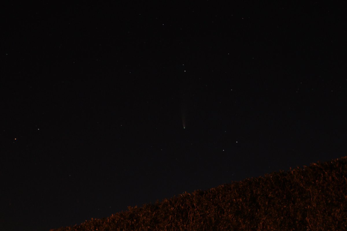 Paul Hegarty tweet media