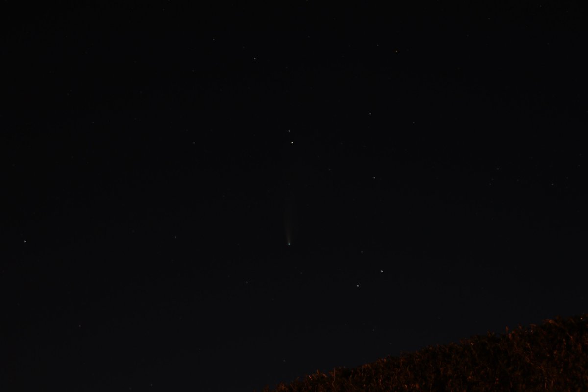 Paul Hegarty tweet media