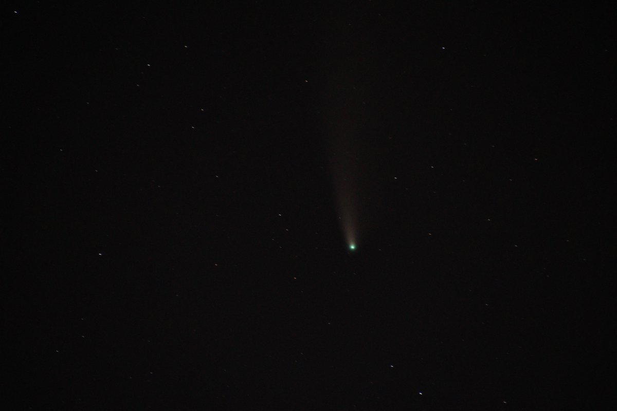 Paul Hegarty tweet media