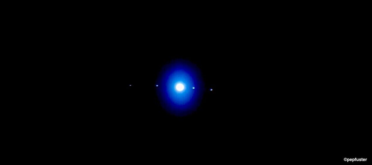 pep fuster tweet media