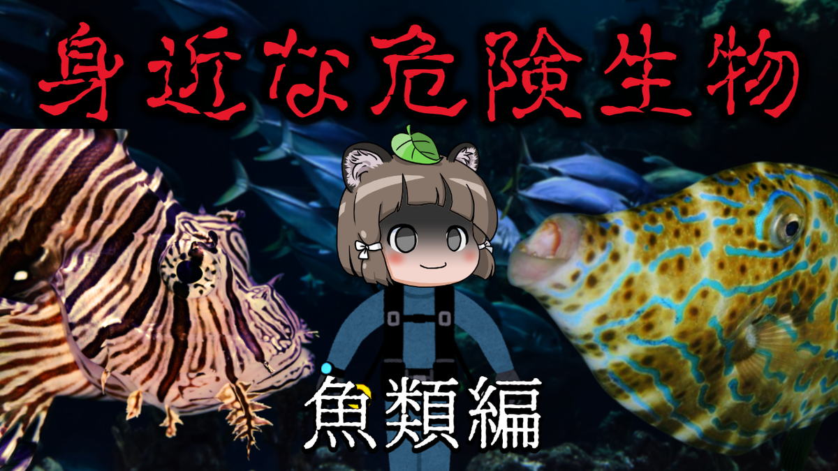 ろう へんないきものチャンネル 2冊目でるよ 本日21時からプレミア公開 海には危険なお魚がいっぱい ゆっくり解説 日本に生息する身近な危険生物9選 魚類編 T Co Nywackj3sv Youtubeより ろう へんないきものチャンネル 2冊目でるよ 本日21時からプレミア公開 海には危険なお魚がいっぱい ゆっくり解説 日本に生息する身近な危険生物9選 魚類編 T Co Nywackj3sv Youtubeより