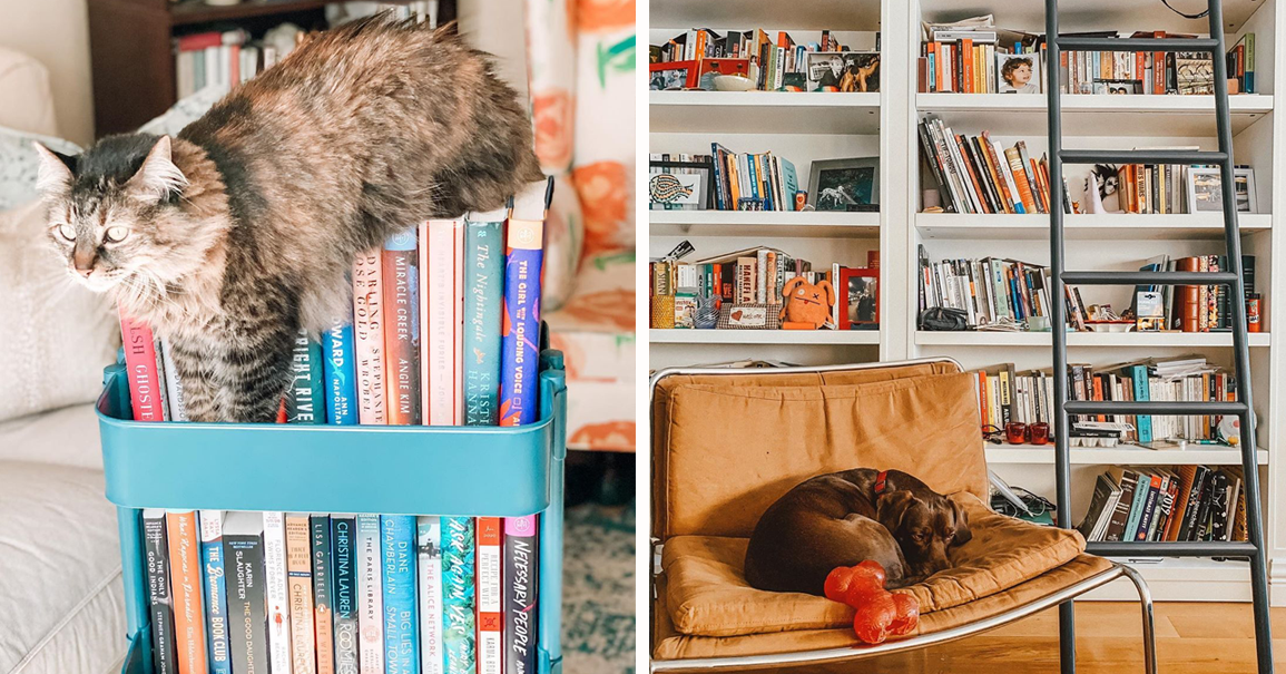 BuzzFeedOz's tweet photo. 21 Bookshelves That Are Just So Damn Beautiful That I'm Slightly Aroused
https://t.co/WP24sfzrgL https://t.co/rp1eXPh5F8