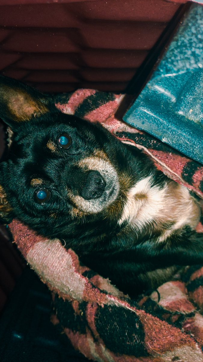 ‎ ‎ ‎ ‎ ‎ ‎ ‎ ‎ ‎ ‎ ‎ ‎ ‎ ‎ ‎ ‎ ‎ ‎ ‎ ‎ ‎ ‎ ‎ ‎ ‎. tweet media