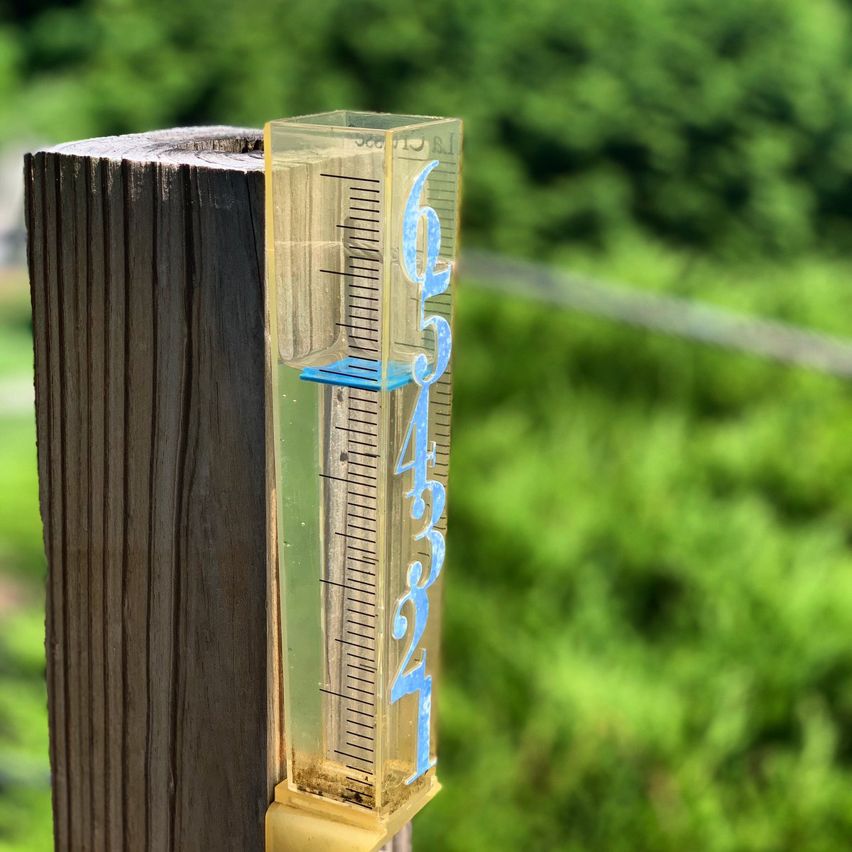 AprilStuck's tweet photo. In less than 24 hrs. #TorrentialRain #BuildingAnArc #BasementBailing #LikeTheTropics NOT like #LifeOnThe45thParallel #Leelanau https://t.co/64h9ZGslYY