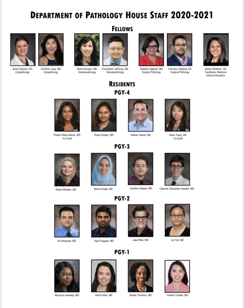 ApekshaNas's tweet photo. Our UT Health San Antonio Pathology team! @AmlashiF @JacobRitter2 @alkhateb_rahaf @AlirezaGhezava1 @LGreebon https://t.co/hI4Moyt5JR