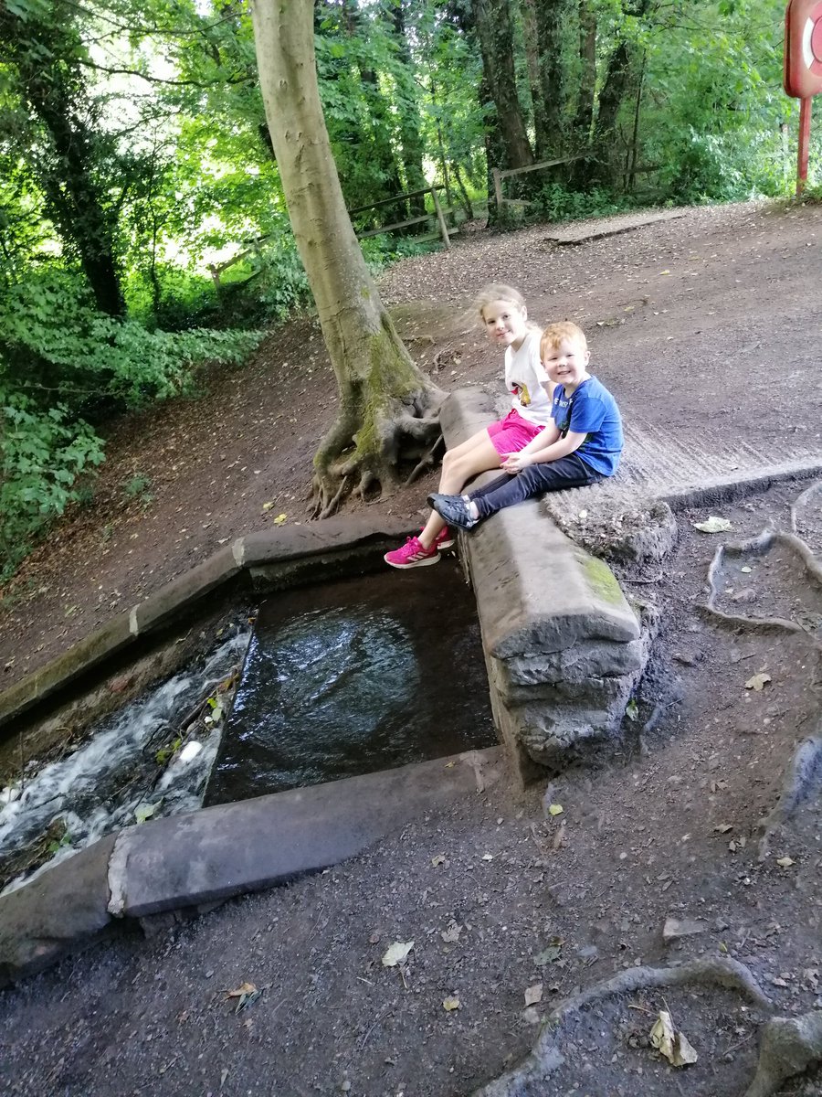 Tracey_2217's tweet photo. Thomas enjoyed his walk around baggeridge country park today @MpNursery https://t.co/ChtfaS6Zht