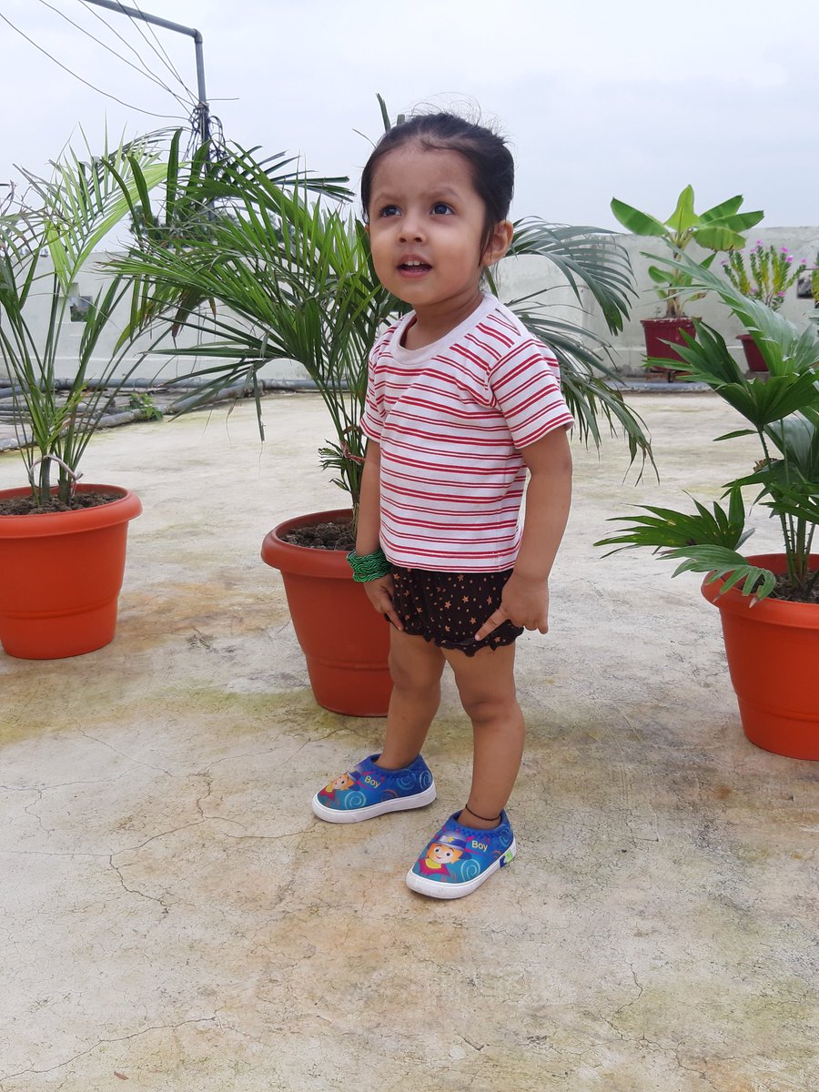 naggmani's tweet photo. Sunday Click 🥰 https://t.co/UhvomjH8gq
