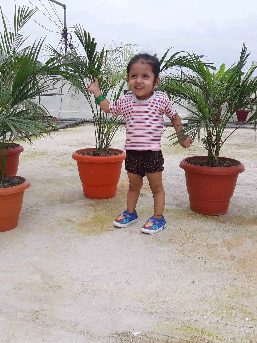 naggmani's tweet photo. Sunday Click 🥰 https://t.co/UhvomjH8gq