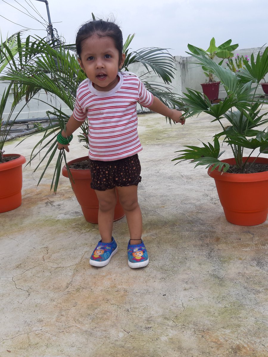 naggmani's tweet photo. Sunday Click 🥰 https://t.co/UhvomjH8gq