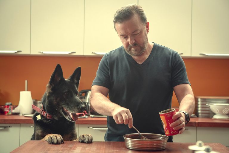 rickygervais's tweet photo. Thanks for making #AfterLife the most watched British Comedy in the world again, and thanks to the millions who just discovered #Derek because of it. The beauty of Netflix. 
Dog Bless you. https://t.co/o6khNaPnso