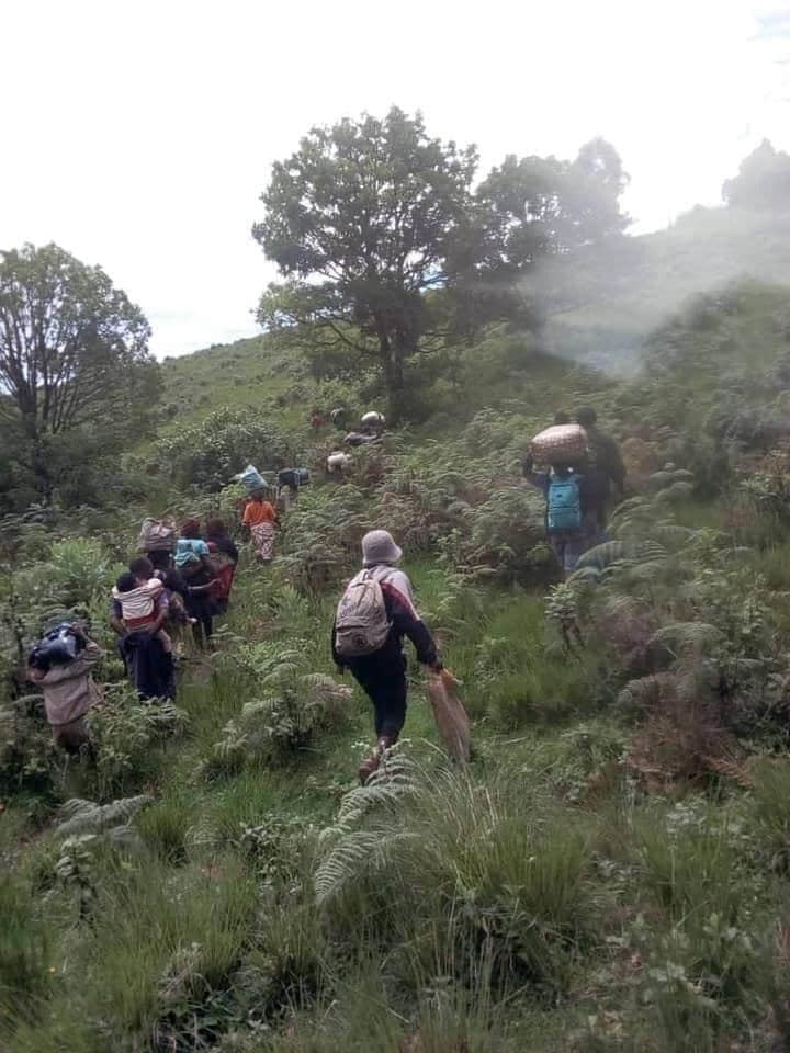 7512wilson's tweet photo. These People are not fleeing their homes and villages because of the presence of Ambazonia Guerilla Fighters. They are fleeing their homes and villages into the bushes because of the presence of the barbaric Military of French Cameroon. Why is that? @AsstSecStateAF @ilariallegro https://t.co/6ttFK36HTC