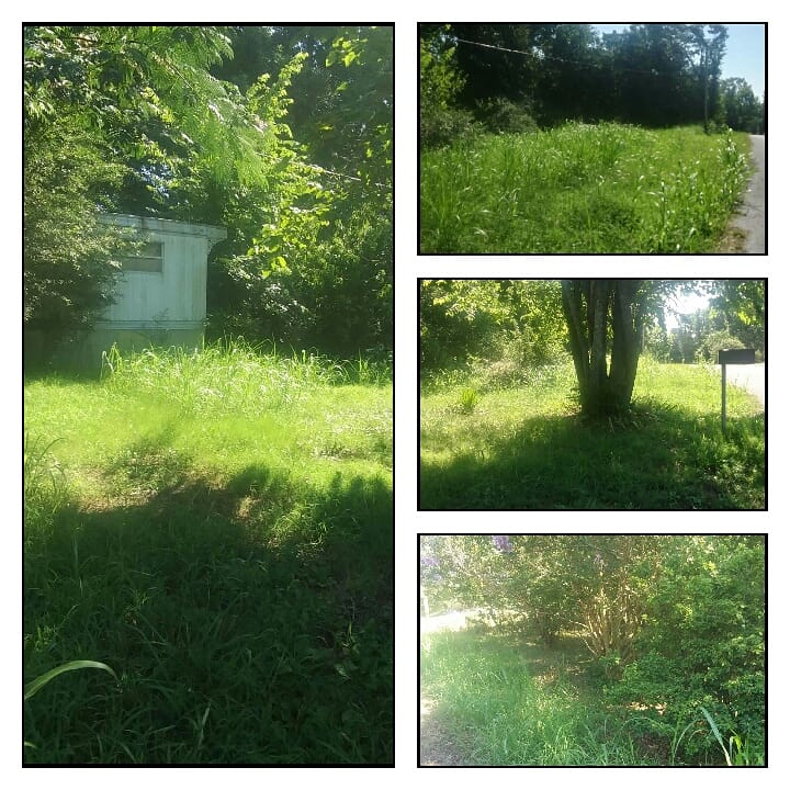 Fmdickeylawnse1's tweet image. Before and after mowing at ruddell hill