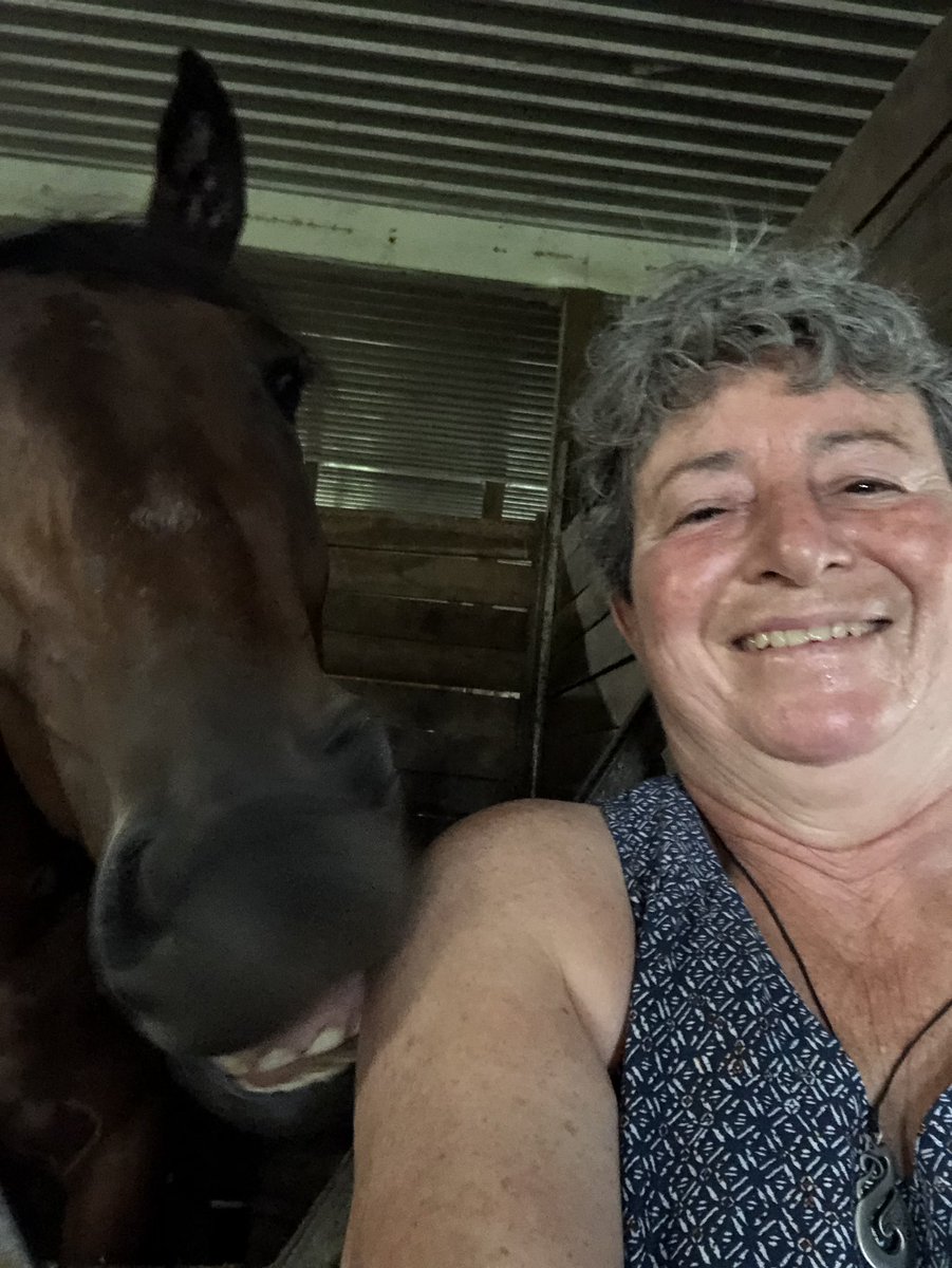 HorsebackWriter's tweet photo. It’s not easy to get a horse to smile for a selfie but Blue Monk was all over it! ‘Monkey’ races Monday @WoodbineSB with @TheStableCanada, his second lifetime start. #ownalittleloveitalot #GoMonkey https://t.co/jaVsYS8kVD