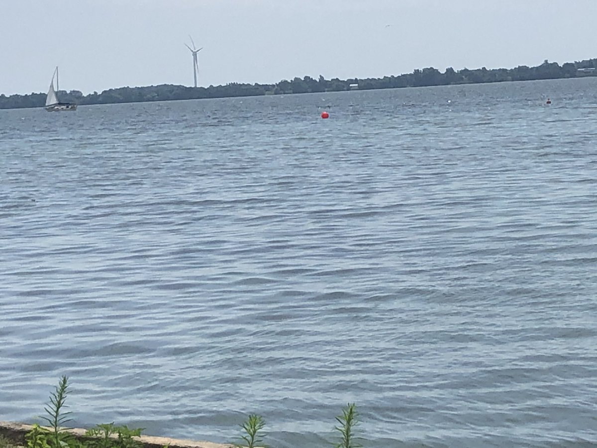 sydenhamkennedy's tweet photo. Inspired by #LakeOntario tonight’s @CJAI921FM show theme is “Water”. There are so many great songs/artists #NauticalDisaster #TheRiver #TheWaterboys What are your favourites? Call/text your requests 613-384-8282 during the show or leave in the comments section below #cjai921fm https://t.co/9C1O1DA2u5
