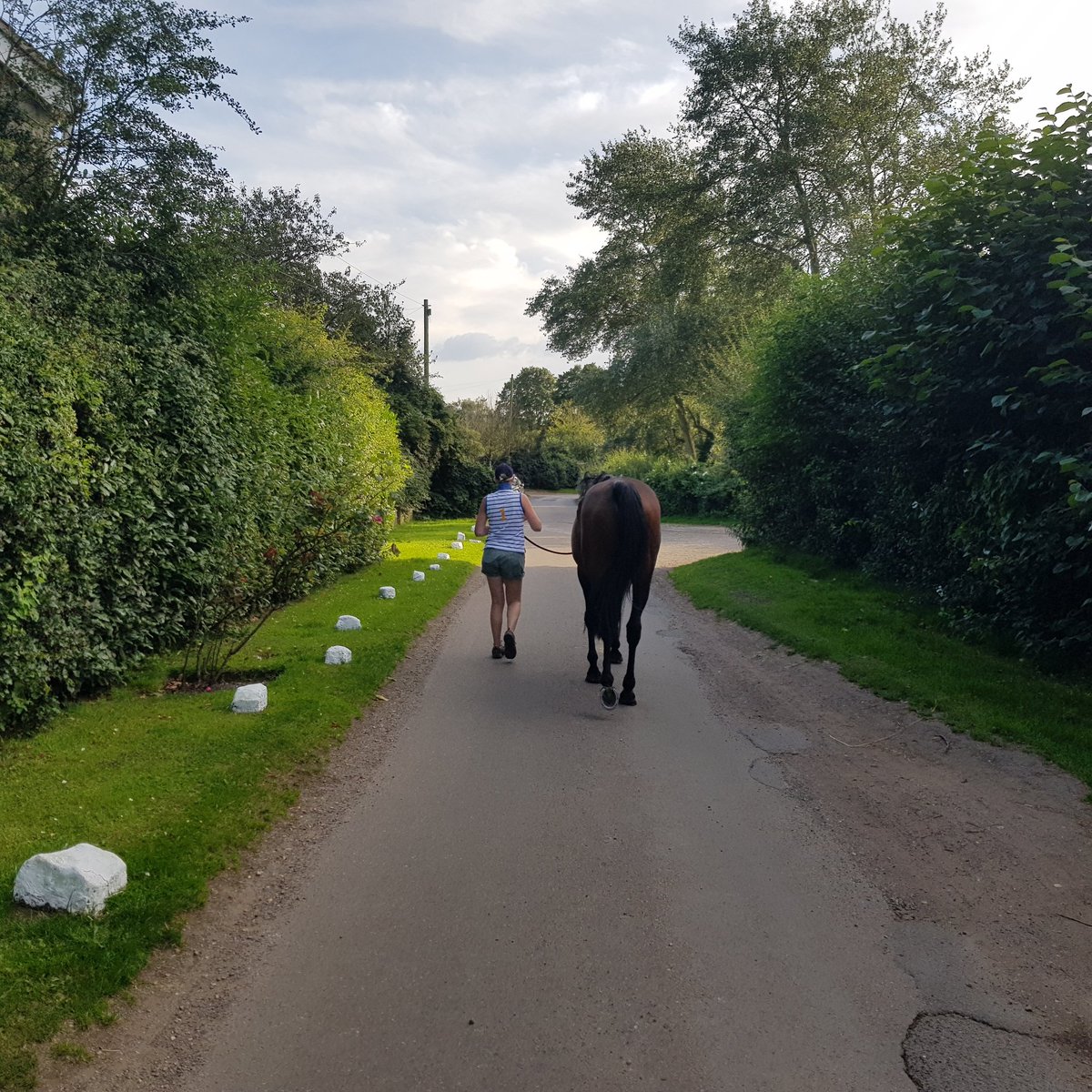 WarnerVj's tweet photo. 'It's just like walking a big dog', she said๐ #thatisnotmydog @WarnerLiss https://t.co/ywQCaAEo9a