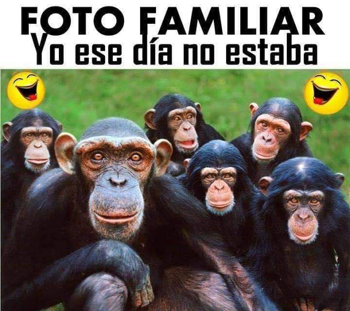 abuelayeye123's tweet photo. Yo ese día no estaba @lacasafuerte_tv #finalCF @mediasetcom #salvame https://t.co/n4agolyZJW