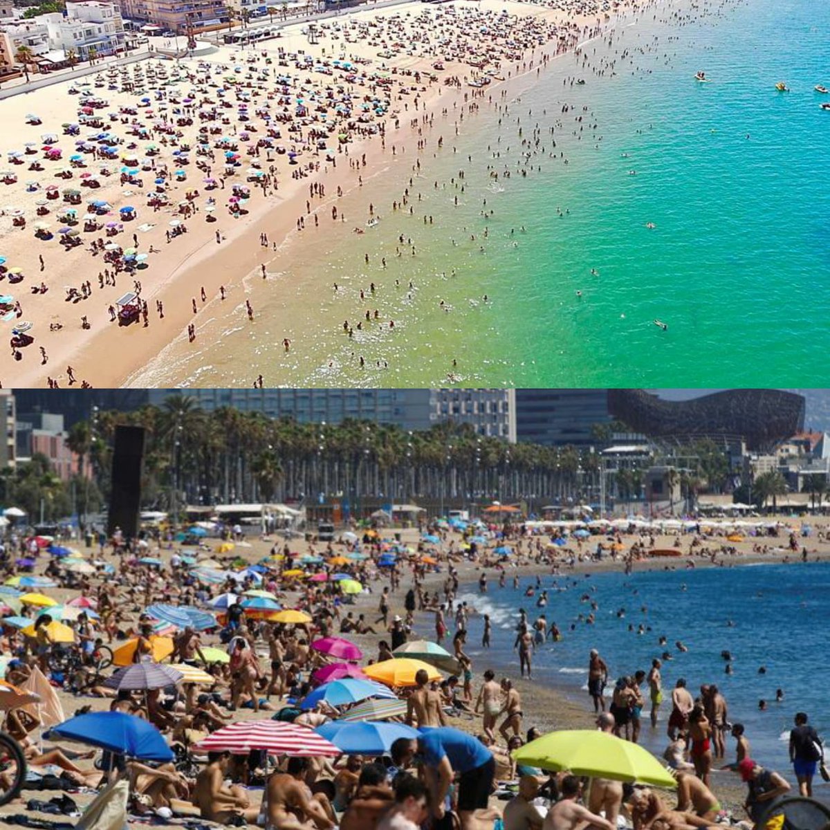 Arriba, Chipiona (orden y distancia. Hoy 2 contagios en la provincia de Cádiz). Abajo, Barcelona (Caos. Hoy casi mil contagios).
Si fuese al revés abríamos los telediarios, nos llamarían de todo y pedirían el confinamiento de esos andaluces irresponsables...