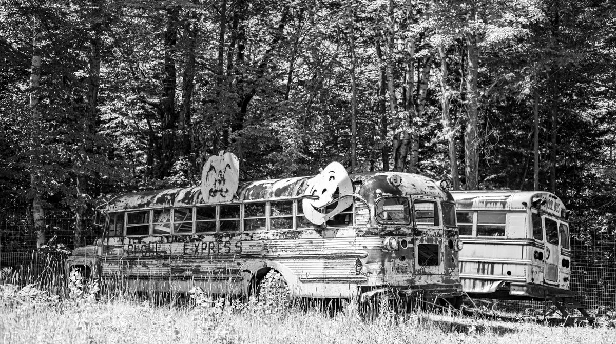 While I picked some berries, the camera picked a few school busses.

#wellwoodorchard #blueberrypicking #raspberrypicking #vermont #blackandwhitephotography #bnwphotography #schoolbus #pumpkinhead #spicollective