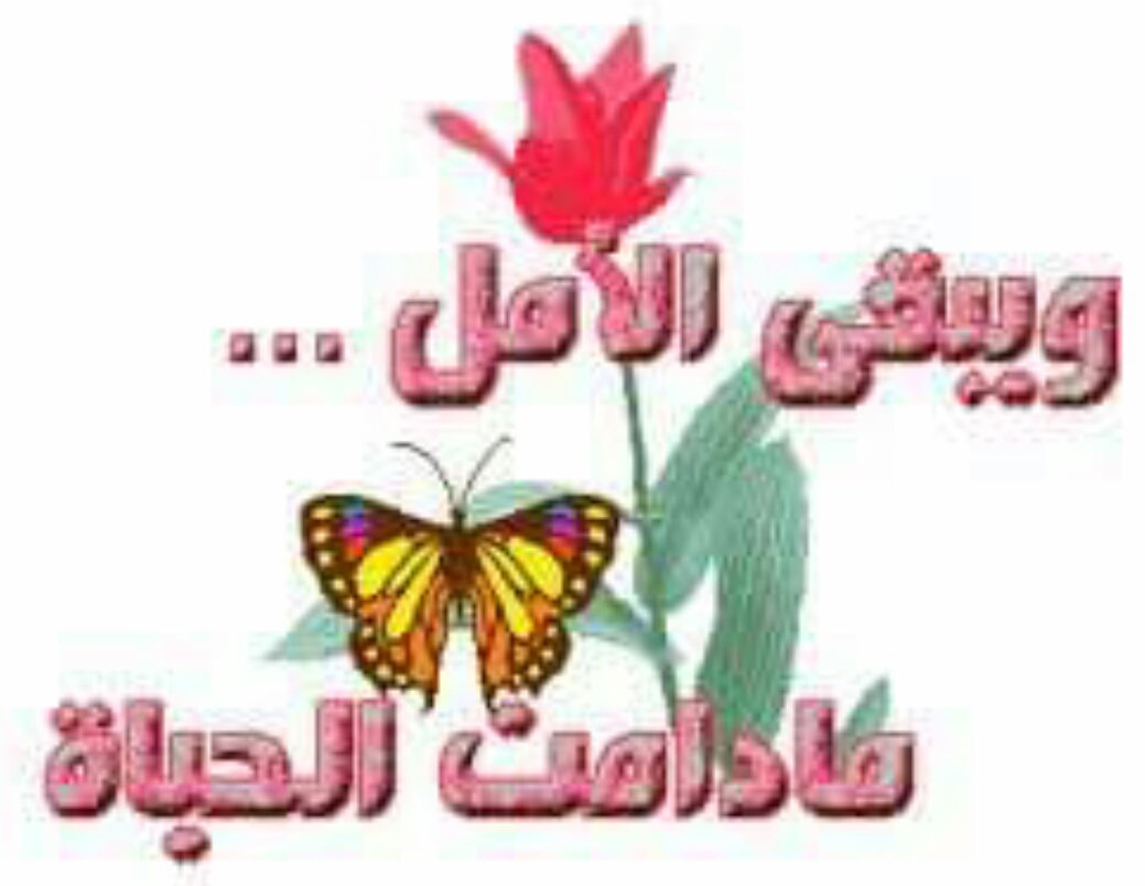 bestwalid92's tweet photo. سننسى وسنغفر
حين نصبح مؤهلين
للمغفرة وللنسيان
فالنسيان هو نعمة المنتصر
والغفران هو رحمة المقتدر https://t.co/3bB2GXqAQ2