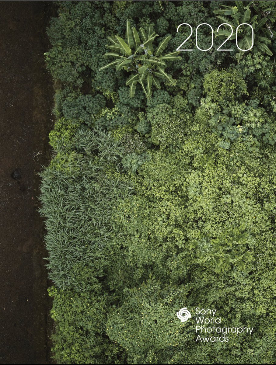 BamPerspectives's tweet photo. Absolutely chuffed to bits to see my shortlisted image on page 186 of the @WorldPhotoOrg 2020 Sony World Photography Awards book!!
#swpa #swpa2020
@JEPnews @BBCJersey @ITVChannelTV @bailiwickxpress @Channel103 https://t.co/8i0AExRRqh