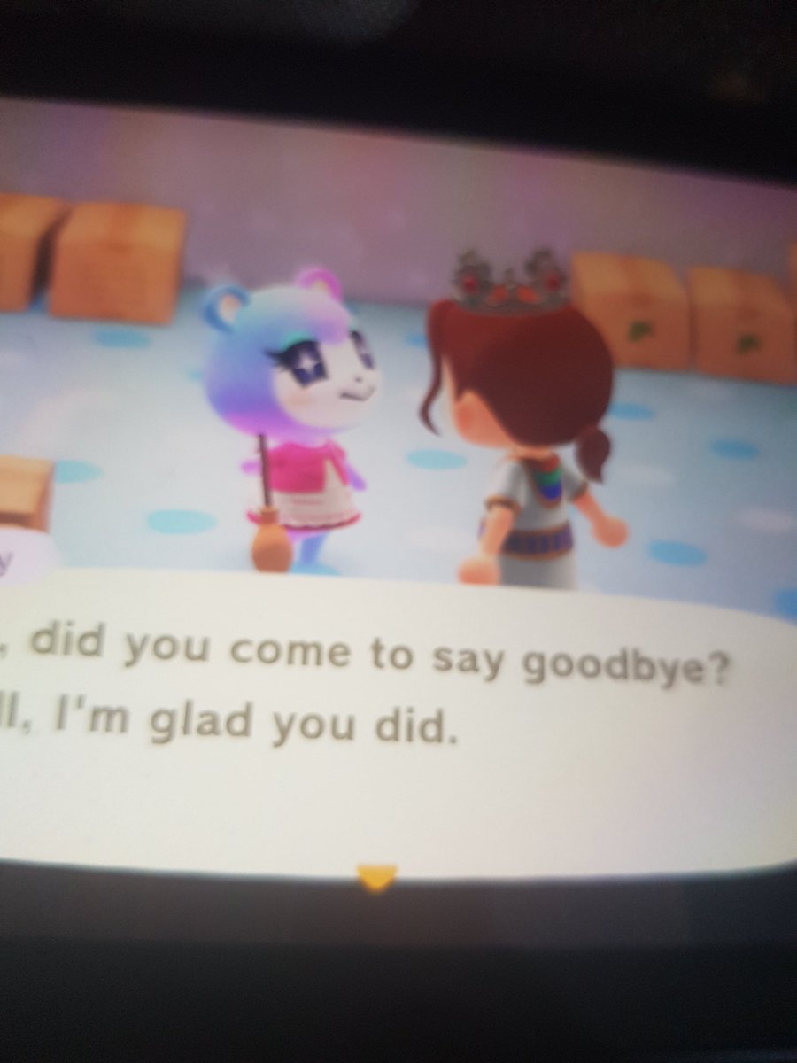 Jess76860789's tweet photo. Judy in boxes open to offers #dodocode #acnh #villagerinboxes https://t.co/PXGM3zlI1y