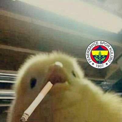 Hasan (@hasann1909) on Twitter photo 