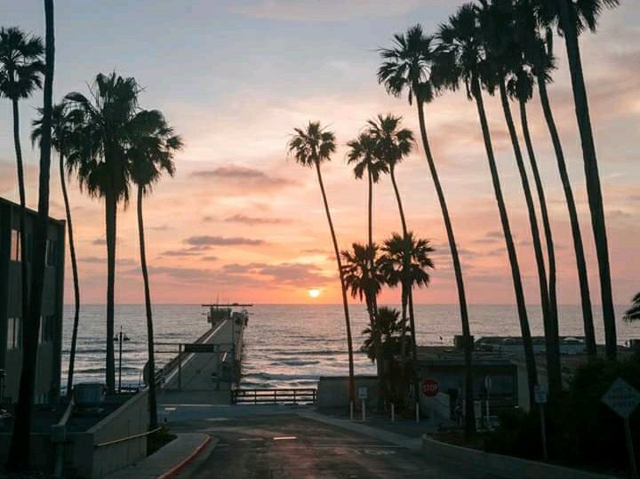 SalMa9030's tweet photo. A walk to the beach🧡 https://t.co/xMkzwwu8xC