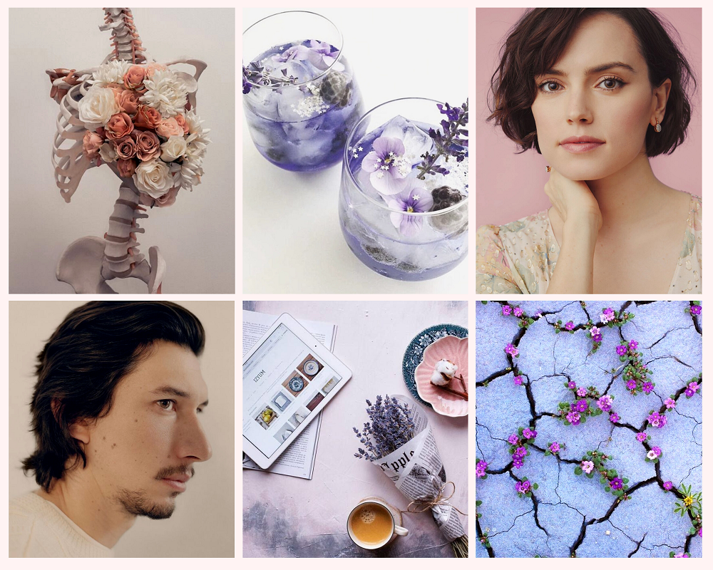 HouseReysistnce's tweet photo. "A Study in Lilac" by sidsaid for a board by @thisgarbagepic1: Famed painter, Rey Niima, lives quietly in a small cabin in the the New Mexico desert, with only her flowers as company. Until a clumsy agricultural scientist stumbles into her life. (rated G) https://t.co/IFrOZiay6G https://t.co/2GIvrk6ndx