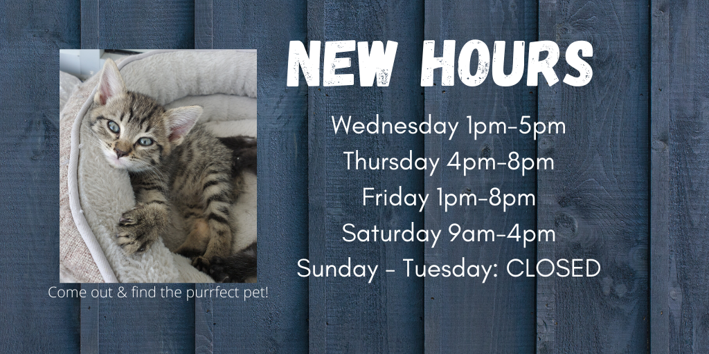SUHumaneSociety's tweet photo. In order to better serve our community, we have adjusted our hours. These will take effect this week. Just a reminder that you will need a mask to come in, but we are open! We currently have a lot of kittens that would love to meet you! https://t.co/8yC1vPGxyv