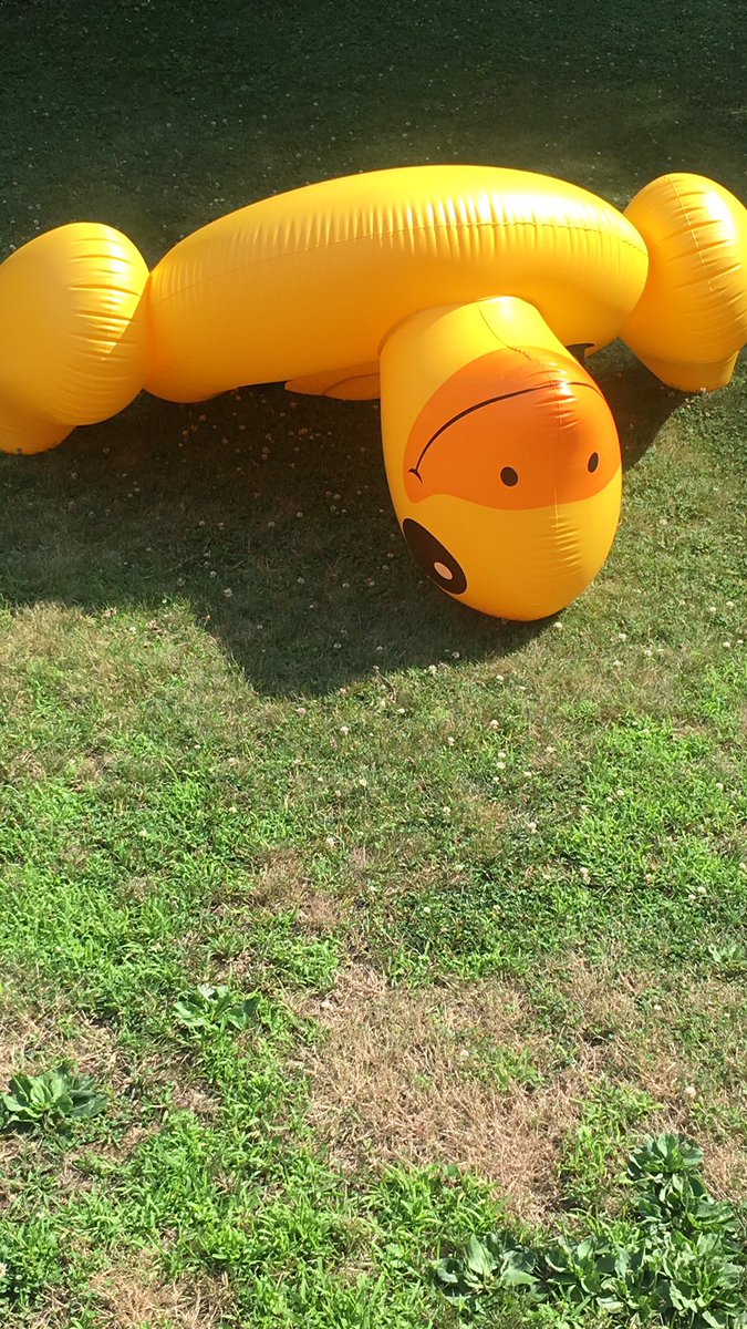 chappytwotwo's tweet photo. The duck has taken on water after the storm last week #duckingproblems https://t.co/vYLBZVtPav