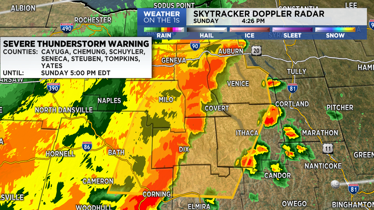 Christina Reis tweet media