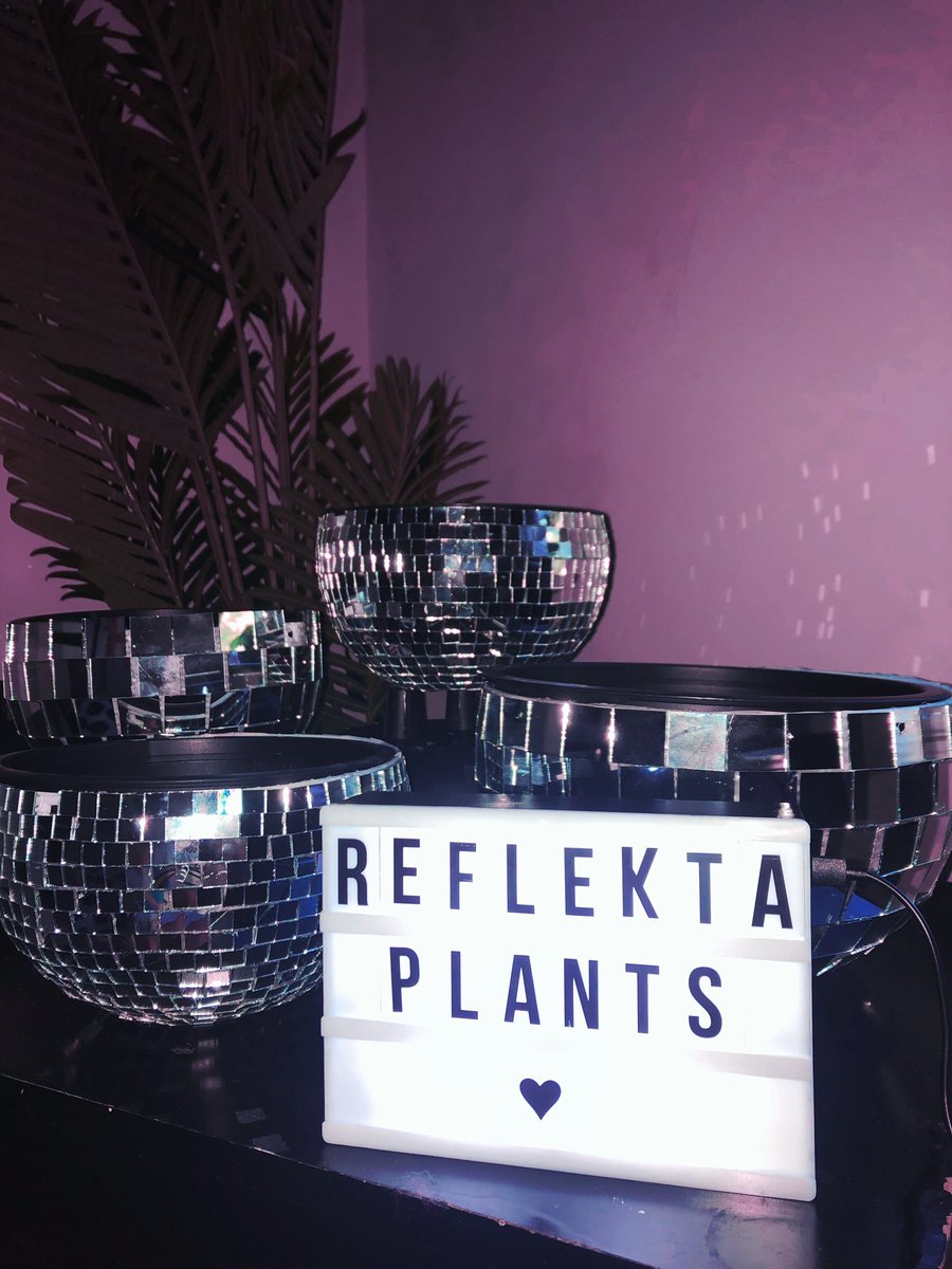 Reflekta_Plants's tweet photo. 🌐ONLY TWO PLANTERS LEFT🌐 https://t.co/R5SrUpAOhw