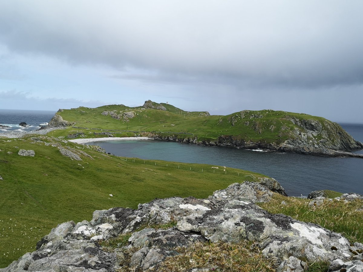 IngridWebb68's tweet photo. @ClydesdAileen Brilliant. It's worth the walk. ❤️ https://t.co/j11e1LqFeN