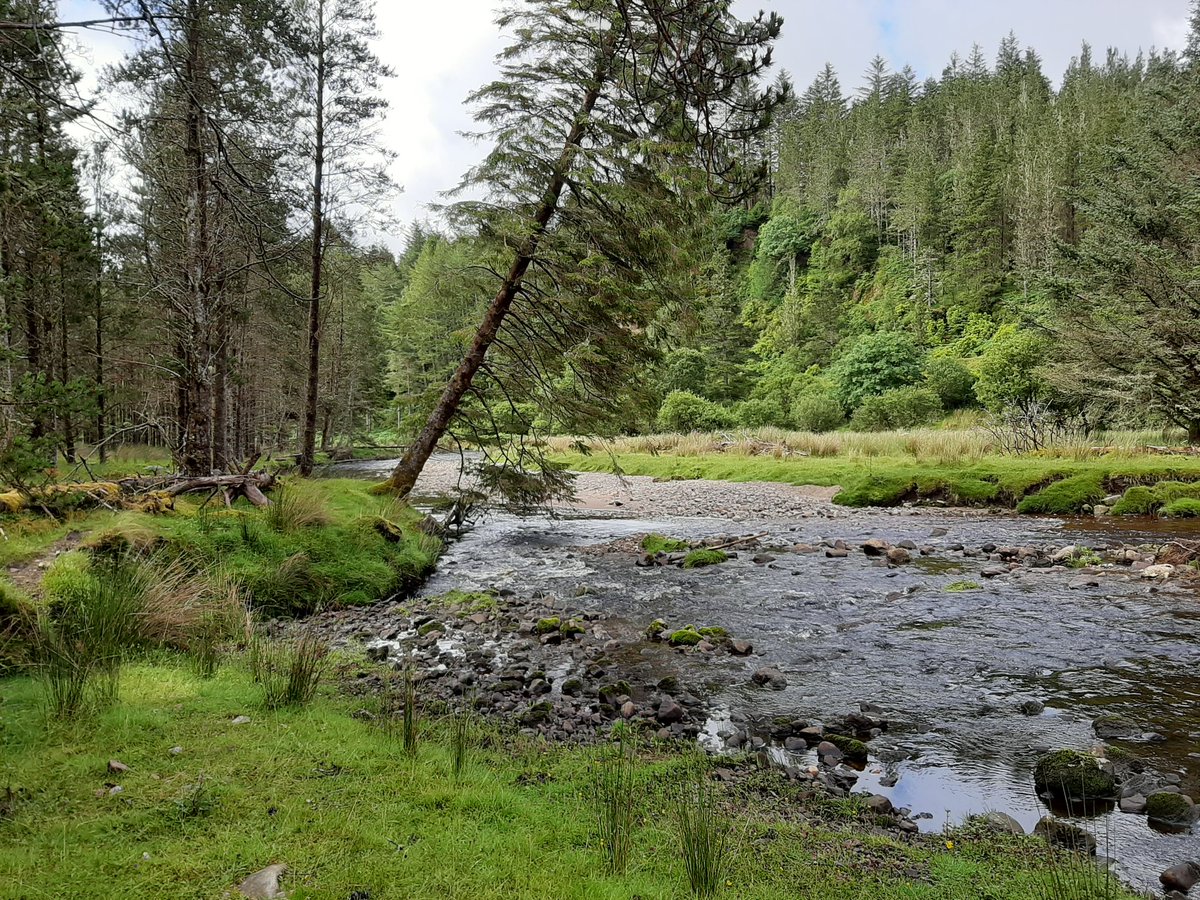 At what point can we declare the whole thing a sham? The thing is... it could be amazing. It needs serious investment to get things moving & a change in culture. It needs local community buy-in but it could be transformative for local employment never mind the wildlife potential