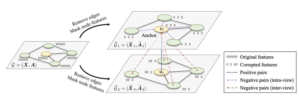 Tsinghua University Researchers Have Developed A Novel Contrastive Framework For Unsupervised Graph Representation Learning Using The Grace Framework With Results Showing A 10 Absolute Improvement On Protein Function Prediction For