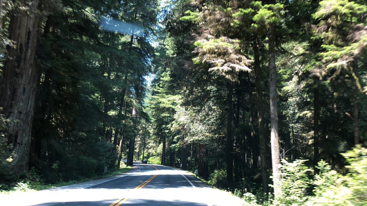 CareyAnd72's tweet photo. While driving through Jedediah, Grace notices that Mia has tears in her eyes then asks “Are you okay Mia?”
 
Mia sadly sighs “I miss Chipotle.” @ChipotleTweets 

#Roadtrip2020 #week3 https://t.co/dTzcDuCiJV