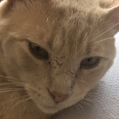 Casey4Bikes's tweet photo. #NuevaFotoDePerfil https://t.co/1UAyF3kSMj