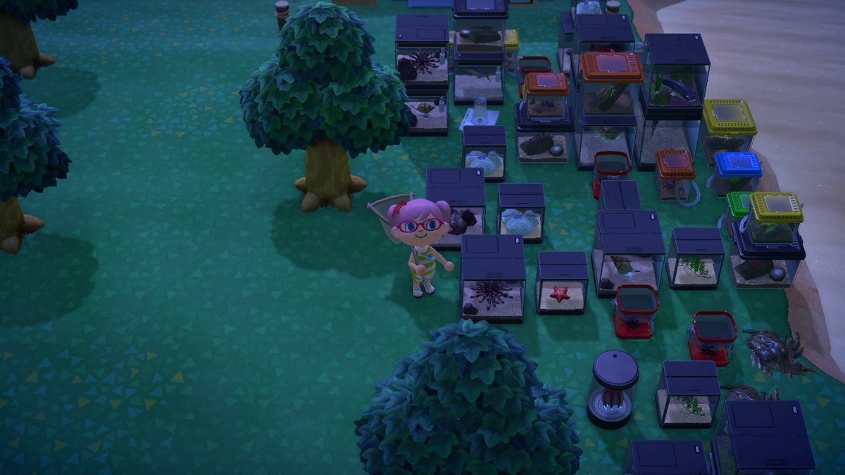 Why can't we sell 24/7 anymore!  #AnimalCrossing #ACNH #NintendoSwitch