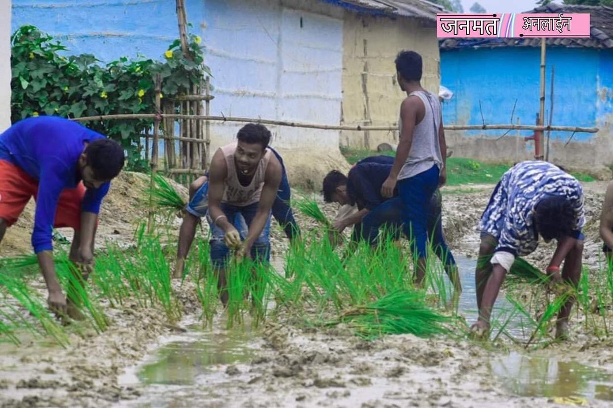 onlinejanamat's tweet image. महोत्तरी गाउँपालिका वार्ड नं. २ का सडक यस्तै अवस्था राहिएका  छ  । त्यसैले  युवा द्वारा स्थानिय सरकार र सरकारको विरोधमा सडकमा  धान रोपीएको छ ।
-
-
-
-
-
#ZeroDevelopment #corruption  #janakapur  #News24Nepal #mahottari