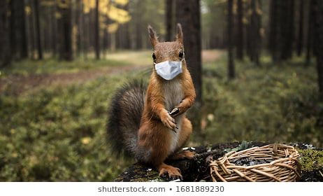 DeadMaine's tweet photo. Just wear it! 💀🐿s https://t.co/fVphVf82zI