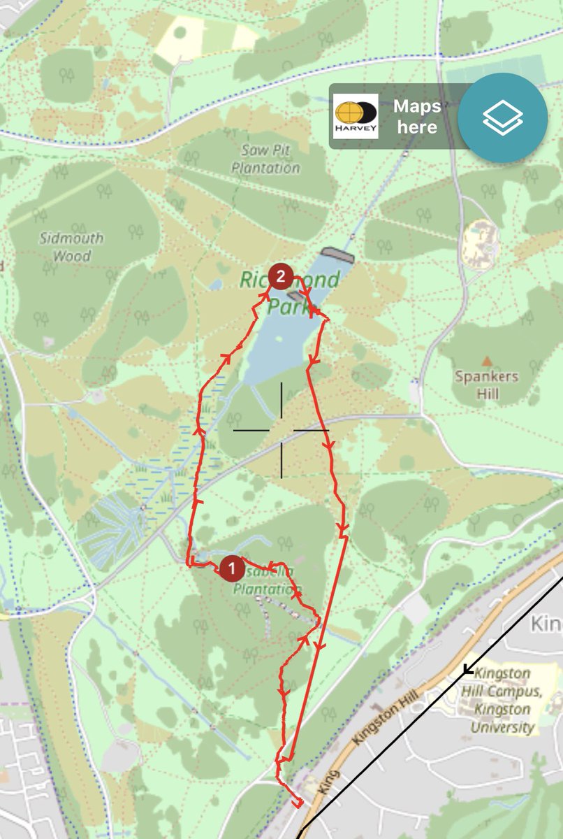 SeanYeates's tweet photo. Day 18/26 of #Samarathon2020. Archie and I walked through Richmond Park today, completing 3.3 miles. Weโre raising money for @sams_kingston. You can support our adventures at https://t.co/Mc2oCurk9r https://t.co/RwScyplNbL