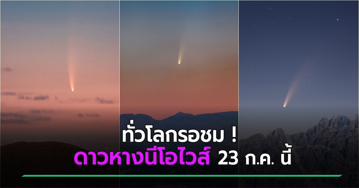 เจ้าชาย ดูดวง🕊32th street tweet media