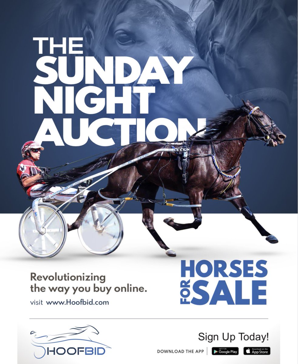 ASorella's tweet photo. RETWEET &amp; WIN❗️= SPECIAL PRIZE!
. 
RETWEET THIS POST.... We will draw for one lucky winner of a Special Prize Pack!. Don’t forget 7PM EASTERN TONIGHT ➡️ Just 2 hours away from another @hoofbid Hoofbid Sunday Night Auction.  Check out the list of race horses starting at 7pm EST https://t.co/ZB3JmuIKkK