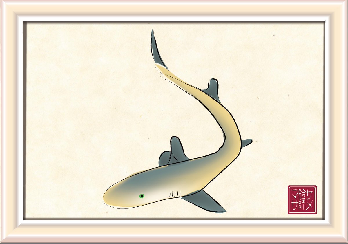 Kawachinomasa サメ絵師マサ サメ Shark サメ絵師 今日のサメ絵 タイトル 作品no247和風 シロザメ 今日も和風シリーズです 大阪の泉州方面ではよく食べられているサメです